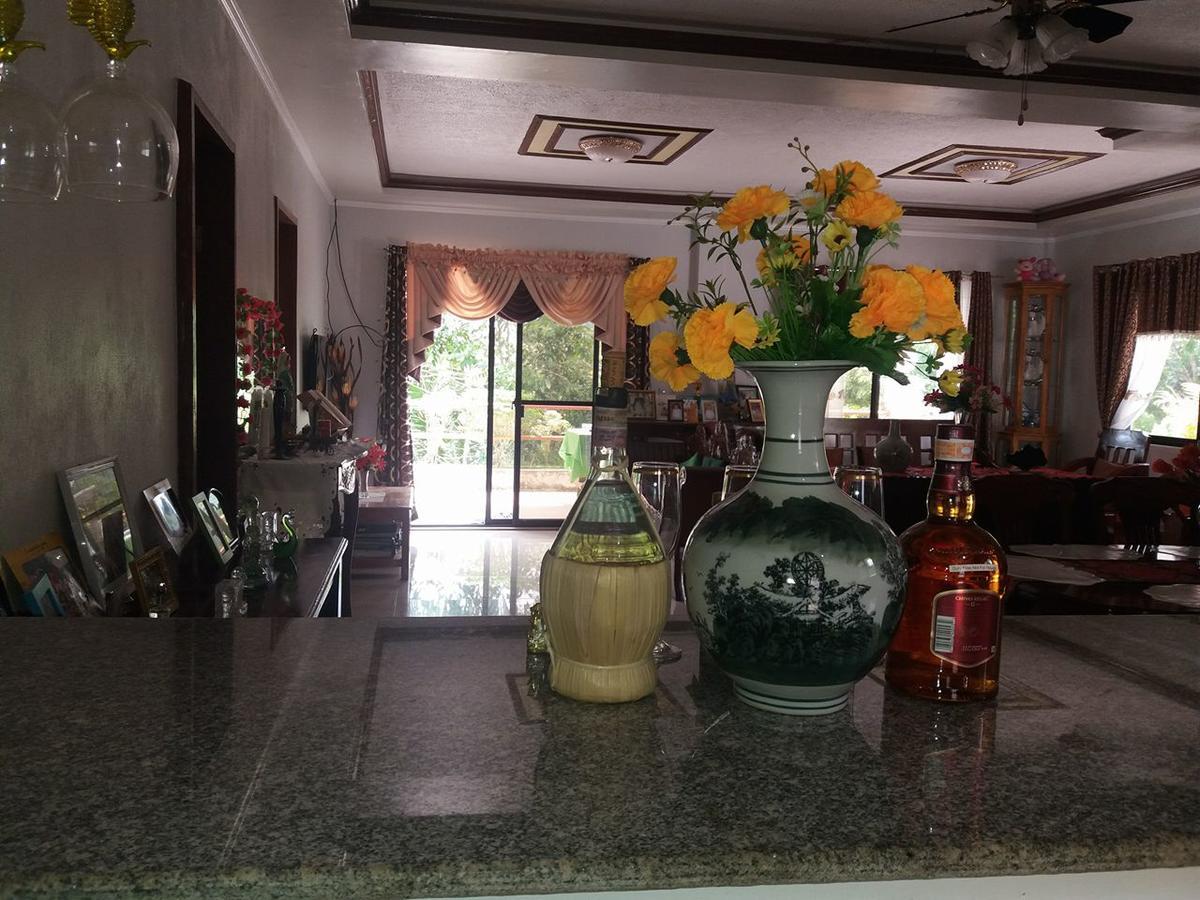 Villa Feliza Loboc Esterno foto